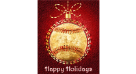 Holiday Baseball Clinic Announced